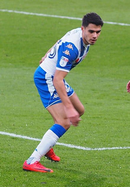 reece james footballer born 1993